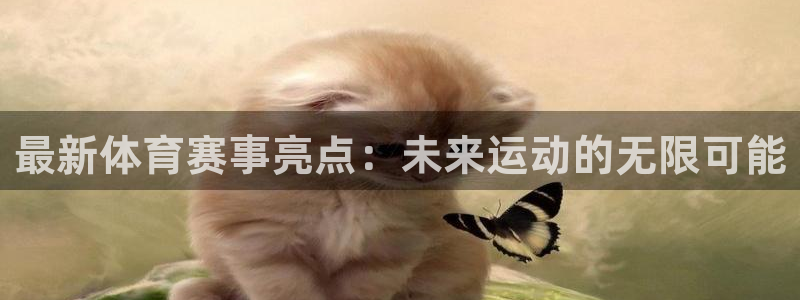最新体育赛事亮点：未来运动的无限可能