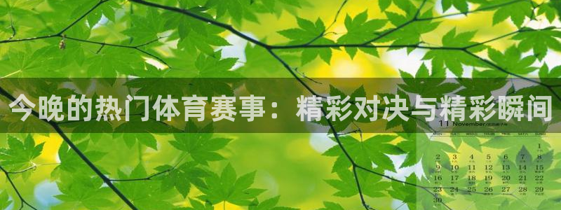 今晚的热门体育赛事：精彩对决与精彩瞬间
