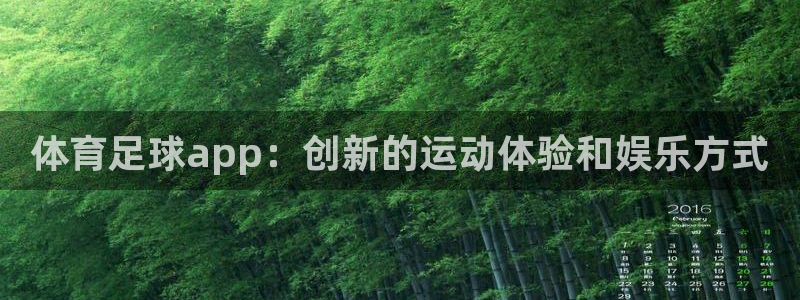 体育足球app：创新的运动体验和娱乐方式