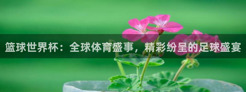 篮球世界杯：全球体育盛事，精彩纷呈的足球盛宴