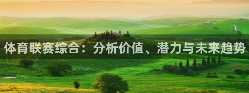 体育联赛综合：分析价值、潜力与未来趋势