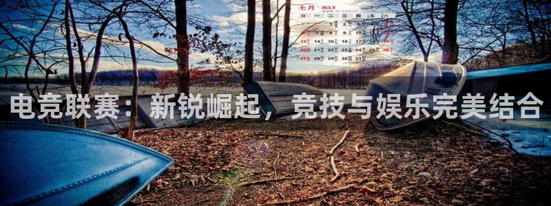 电竞联赛：新锐崛起，竞技与娱乐完美结合