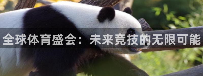 全球体育盛会：未来竞技的无限可能