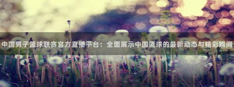 中国男子篮球联赛官方直播平台：全面展示中国篮球的最新动态与精彩瞬间