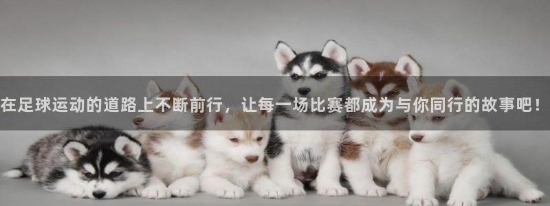 在足球运动的道路上不断前行，让每一场比赛都成为与你同行的故事吧！