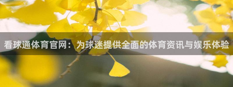 看球通体育官网：为球迷提供全面的体育资讯与娱乐体验