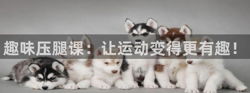 趣味压腿课：让运动变得更有趣！