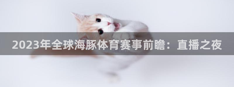 2023年全球海豚体育赛事前瞻：直播之夜