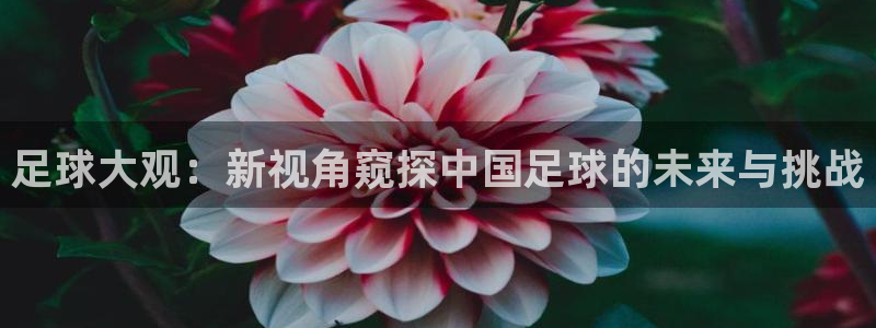 足球大观：新视角窥探中国足球的未来与挑战