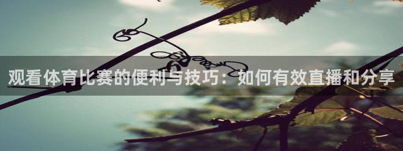 观看体育比赛的便利与技巧：如何有效直播和分享