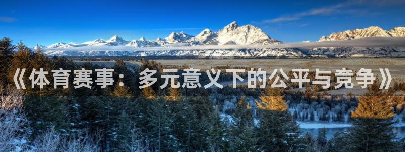 《体育赛事：多元意义下的公平与竞争》