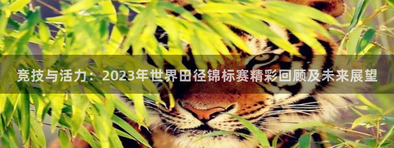 竞技与活力：2023年世界田径锦标赛精彩回顾及未来展望