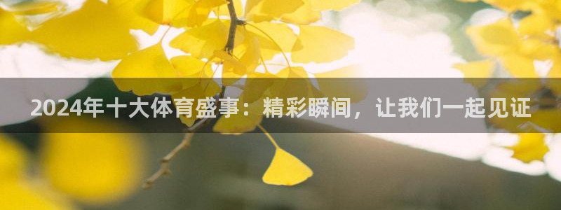 2024年十大体育盛事：精彩瞬间，让我们一起见证