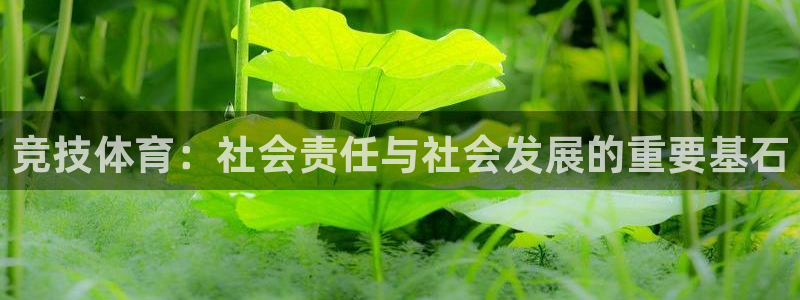 竞技体育：社会责任与社会发展的重要基石