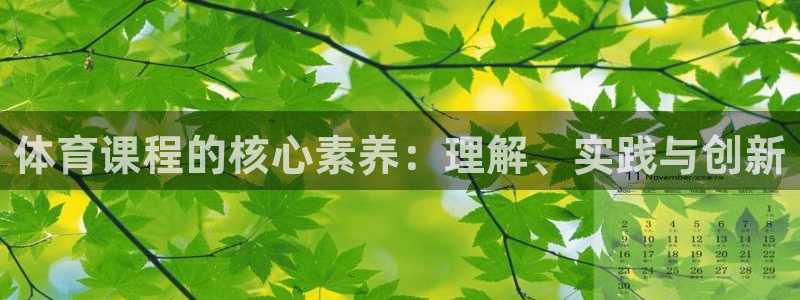 体育课程的核心素养：理解、实践与创新