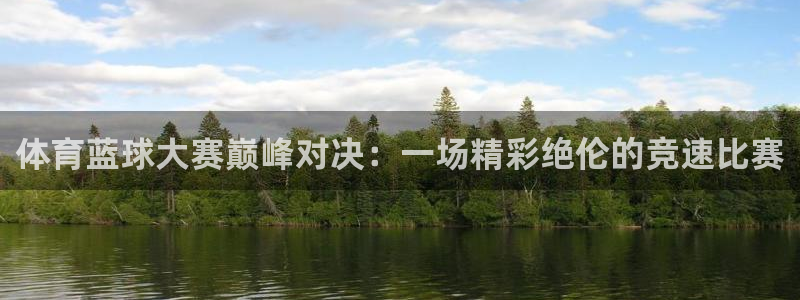 体育蓝球大赛巅峰对决：一场精彩绝伦的竞速比赛