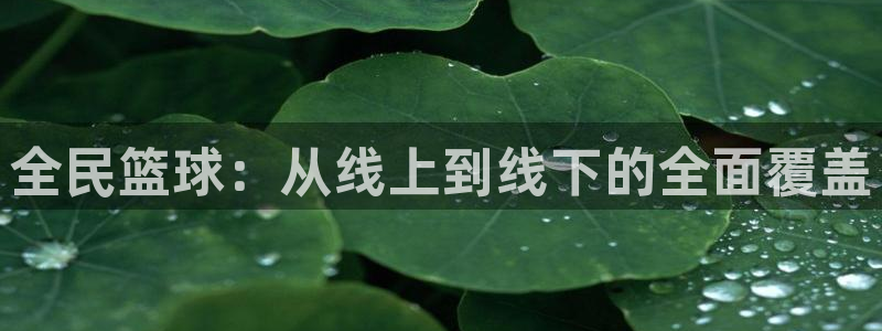 全民篮球：从线上到线下的全面覆盖