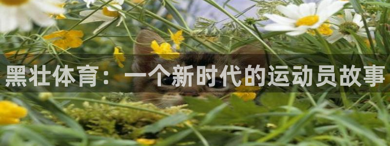 黑壮体育：一个新时代的运动员故事