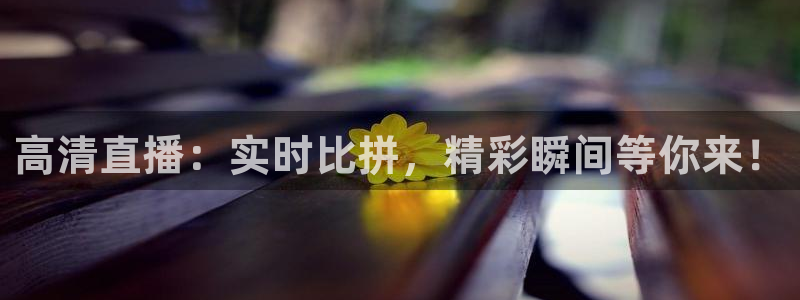 高清直播：实时比拼，精彩瞬间等你来！