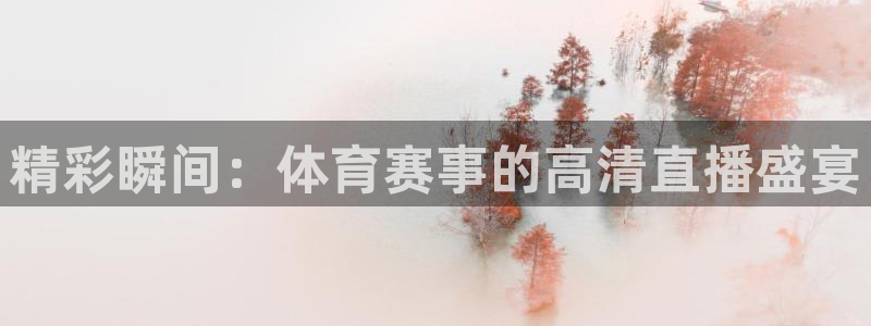 精彩瞬间：体育赛事的高清直播盛宴