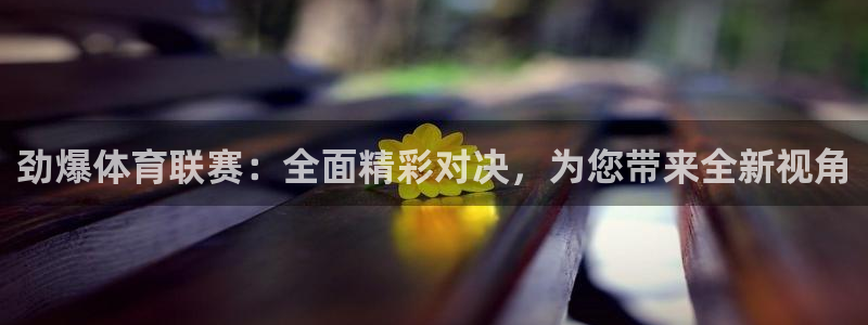 劲爆体育联赛：全面精彩对决，为您带来全新视角
