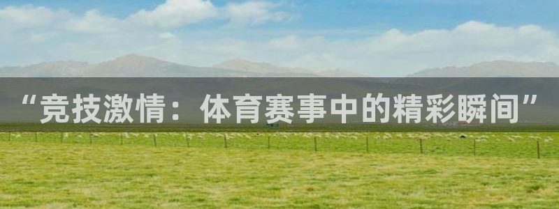 “竞技激情：体育赛事中的精彩瞬间”