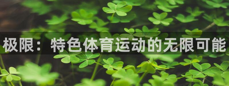 极限：特色体育运动的无限可能