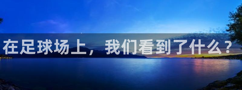 在足球场上，我们看到了什么？