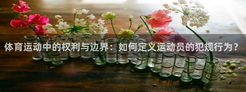 体育运动中的权利与边界：如何定义运动员的犯规行为？