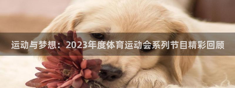 运动与梦想：2023年度体育运动会系列节目精彩回顾
