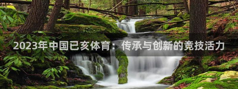 2023年中国已亥体育：传承与创新的竞技活力