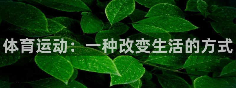 体育运动：一种改变生活的方式