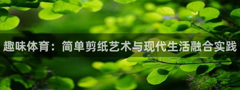 趣味体育：简单剪纸艺术与现代生活融合实践