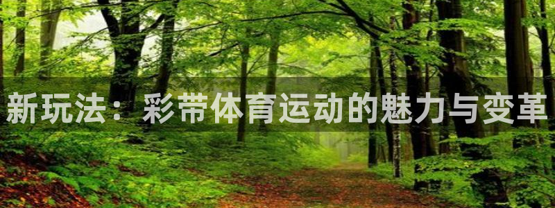 新玩法：彩带体育运动的魅力与变革