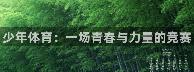少年体育：一场青春与力量的竞赛