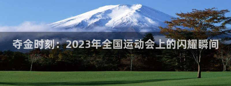 夺金时刻：2023年全国运动会上的闪耀瞬间