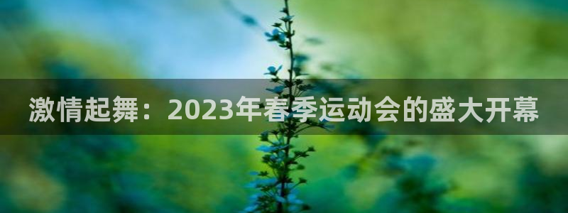 激情起舞：2023年春季运动会的盛大开幕