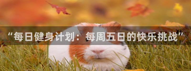 “每日健身计划：每周五日的快乐挑战”