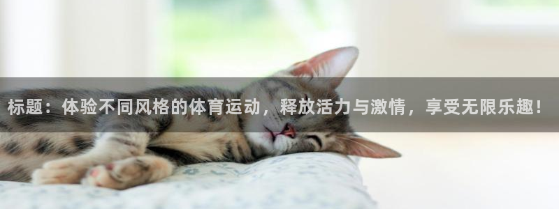 标题：体验不同风格的体育运动，释放活力与激情，享受无限乐趣！