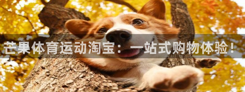芒果体育运动淘宝：一站式购物体验！