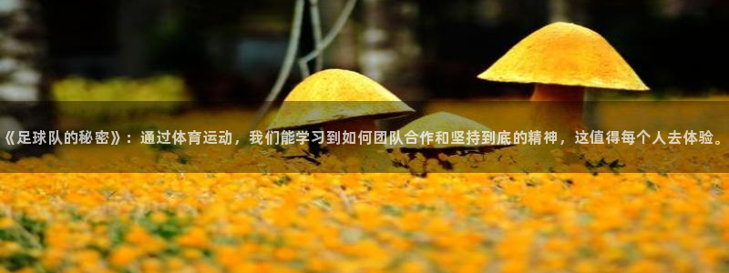 《足球队的秘密》：通过体育运动，我们能学习到如何团队合作和坚持到底的精神，这值得
