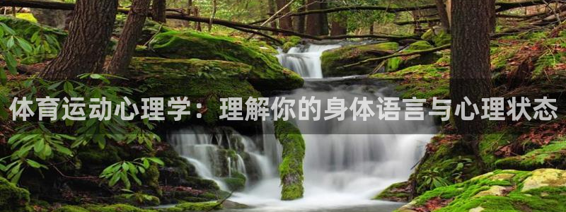 体育运动心理学：理解你的身体语言与心理状态