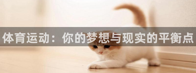 体育运动：你的梦想与现实的平衡点